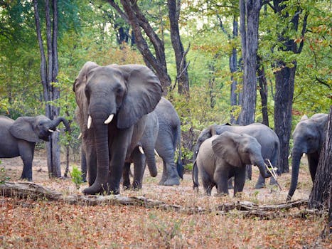AI v Casinech: Jak Chrání Hráče Před Velkými Ztrátami?
